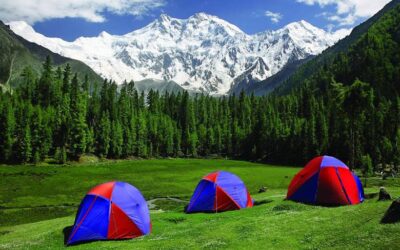 Fairy Meadows and Nanga Parbat Base Camp Trek (8 days)