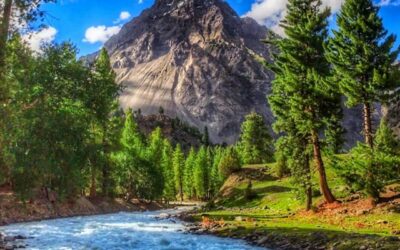 Naltar Valley Trek (09 Days)