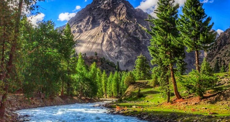 Naltar Valley Trek (09 Days)