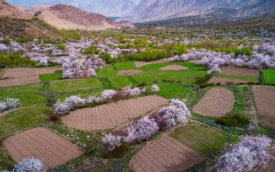 Shigar Valley Tour (06 days)