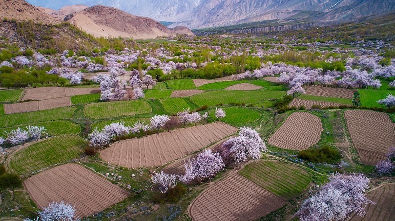 Shigar Valley Tour (06 days)